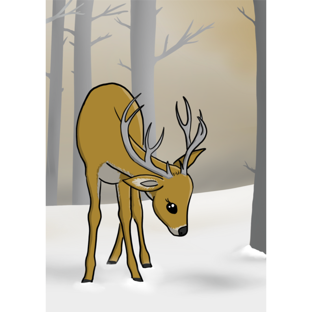 Hirsch im Wald mit Schnee, Weihnachtskarte, Design von speakture