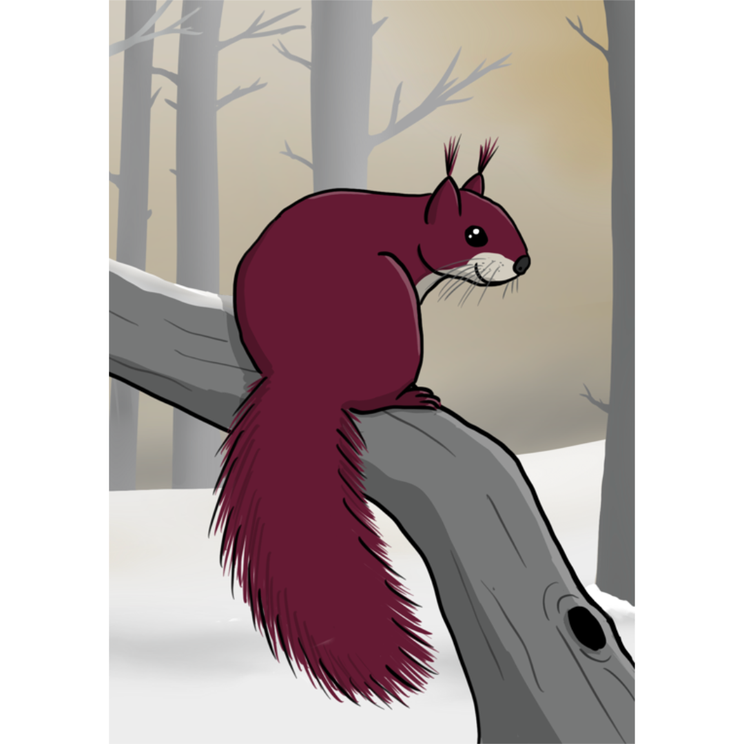 Eichhoernchen auf einem Ast im Wald mit Schnee, Weihnachtskarte, Design von speakture