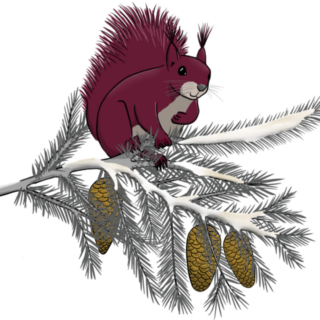 Eichhörnchen auf Tannenast, Winter, Schnee, visualisiert von speakture