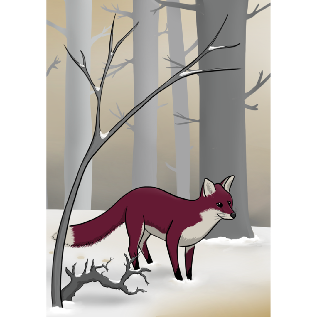 Fuchs im Wald mit Schnee, Weihnachtskarte, Design von speakture