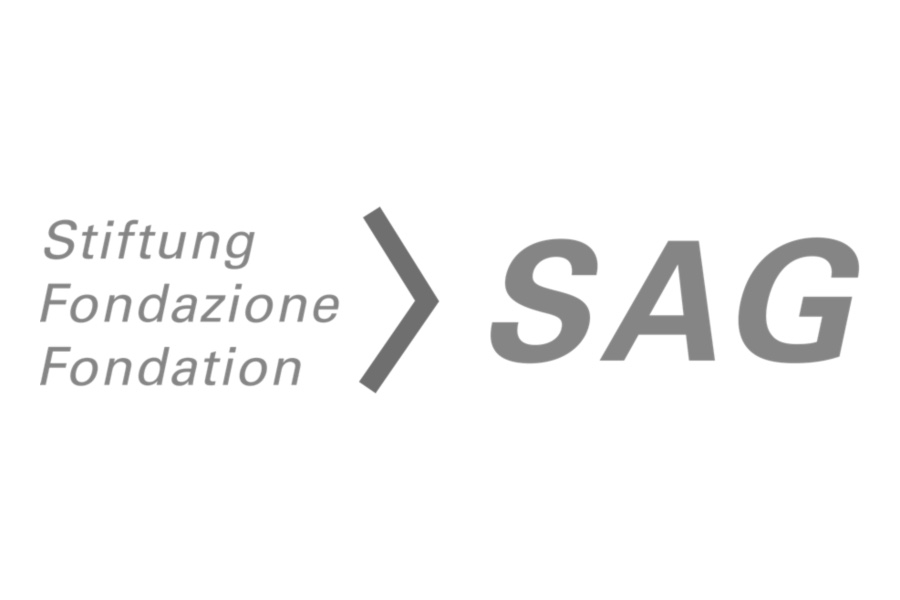 Stiftung SAG Logo Kunde von speakture fuer Visualisierungs Workshop