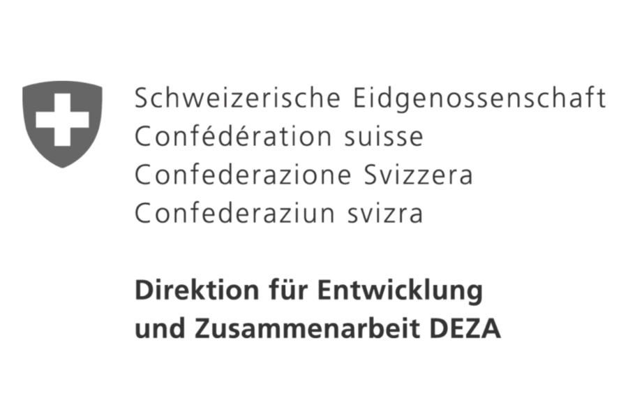 Direktion für Entwicklung und Zusammenarbeit DEZA der Schweizerischen Eidgenossenschaft als Kunde von speakture für Visualisierungen und Graphic Recording