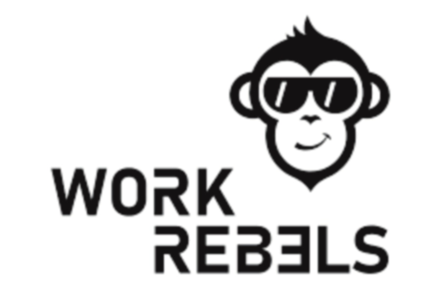 Work Rebels Kunde von speakture für Zielbild Business Visualisierung