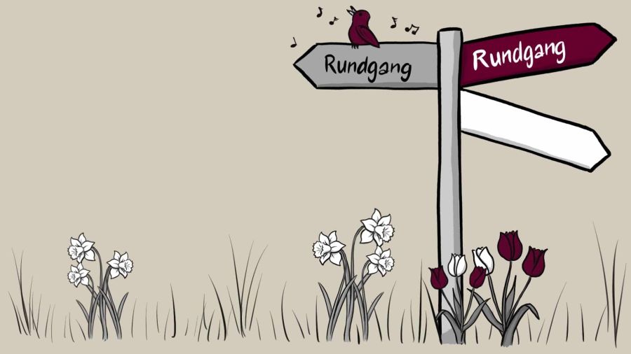Rundgang durch die Welt der Visualisierungen mit speakture